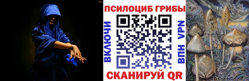 Купить закладки  Печора  Псилоцибиновые грибы мицелий 