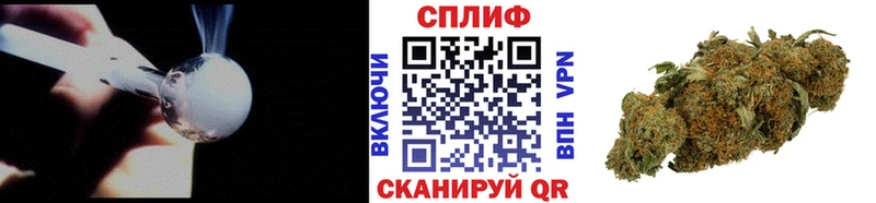Купить где  Печора  Конопля OG Kush 